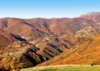 Febbraio