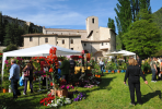 “Primavera in Valnerina”: Mostra-Mercato del giardinaggio e del florovivaismo