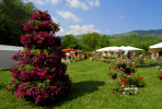 “Primavera in Valnerina”: Mostra-Mercato del giardinaggio e del florovivaismo