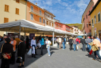 Mostra Mercato Zafferano