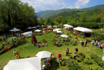 “Primavera in Valnerina”: Mostra-Mercato del giardinaggio e del florovivaismo