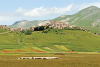 Castelluccio - Norcia