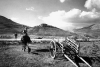 Foto d`epoca - Altopiano di Castelluccio - Norcia