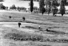 Le Marcite - Norcia