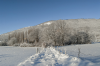  Antico asse di centuiazione innevato-Buda-Cascia